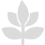 綠色低碳產業(yè)扶持計劃